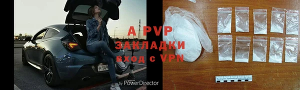 спиды Богданович