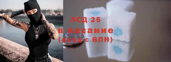 спиды Богданович