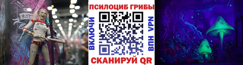 Купить где  Светлогорск  Псилоцибиновые грибы прущие грибы 